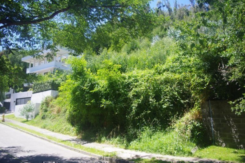 Venta Terreno en Fuente de Piedra, Chiguayante